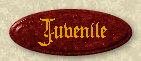 Juvenile historical mysteries